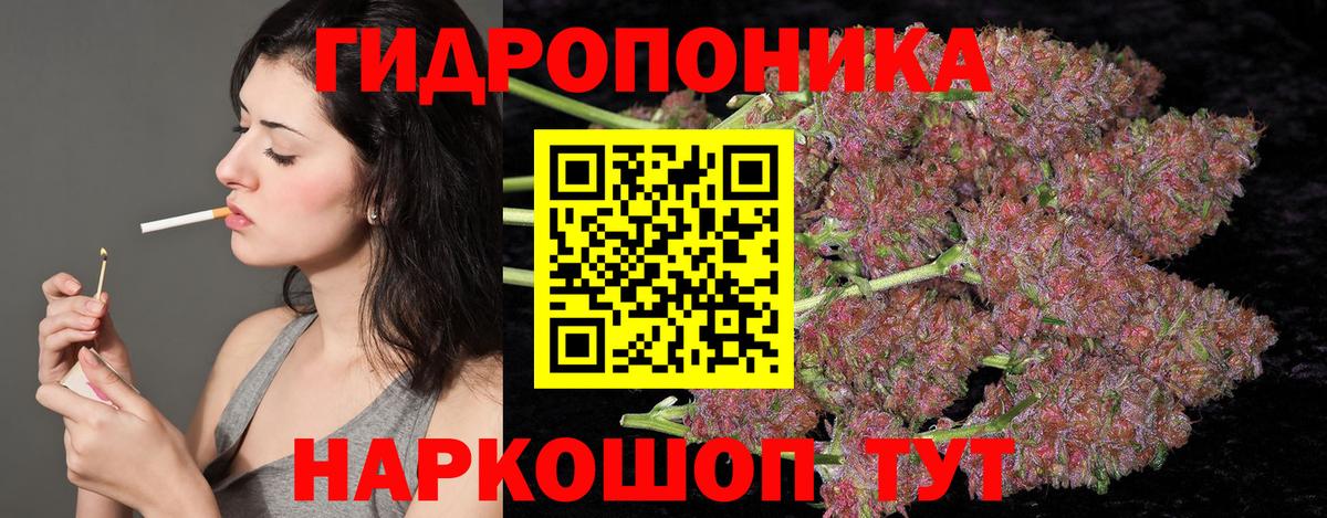 Марихуана марихуана  Марихуана планчик  Вход с VPN  МАРИХУАНА Bruce Banner  Кохма 